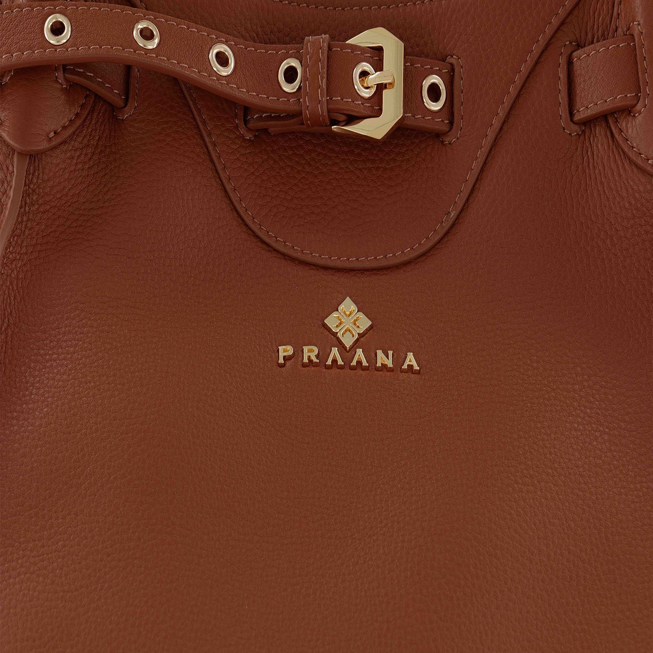 #color_brown
