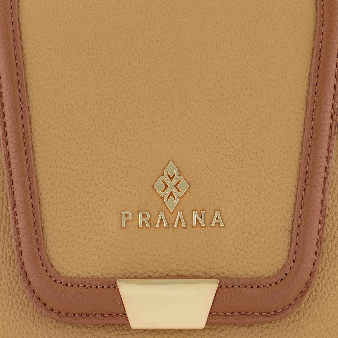 #color_camel