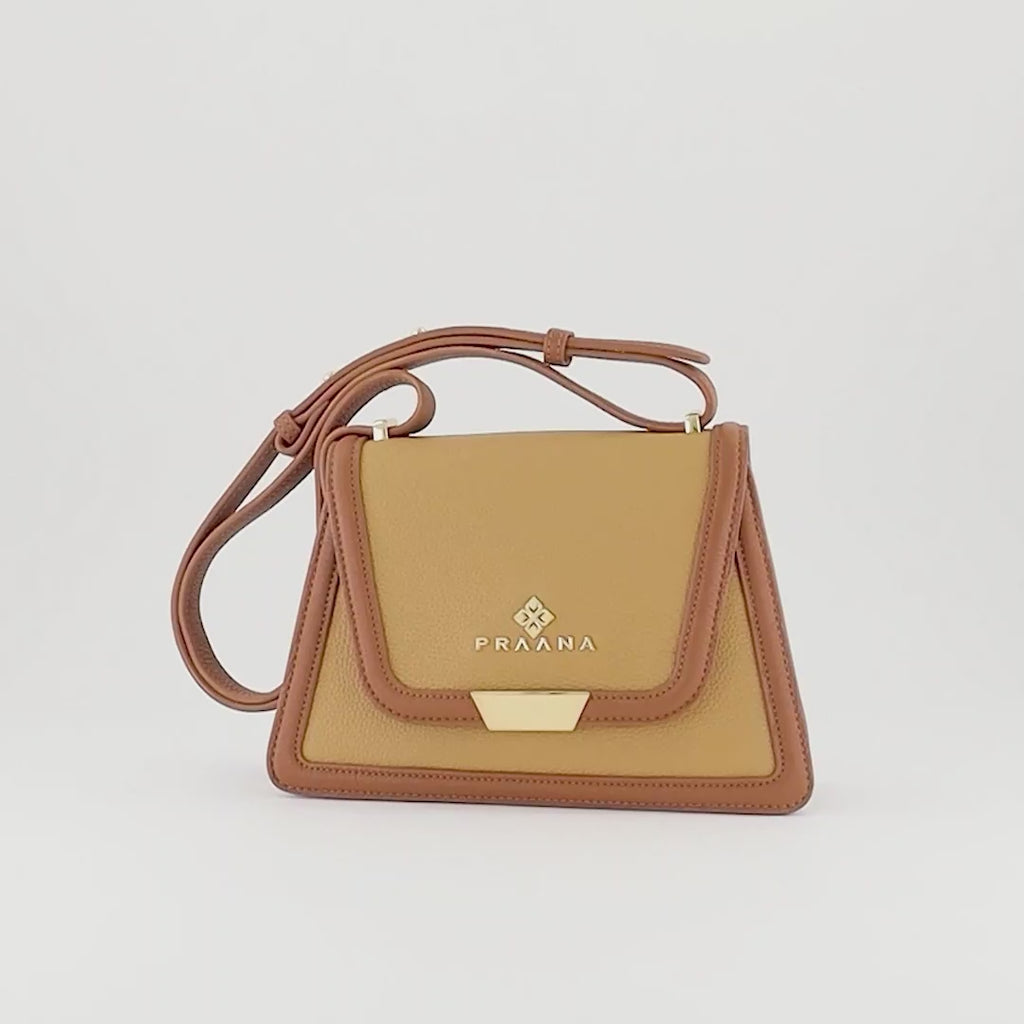 #color_camel